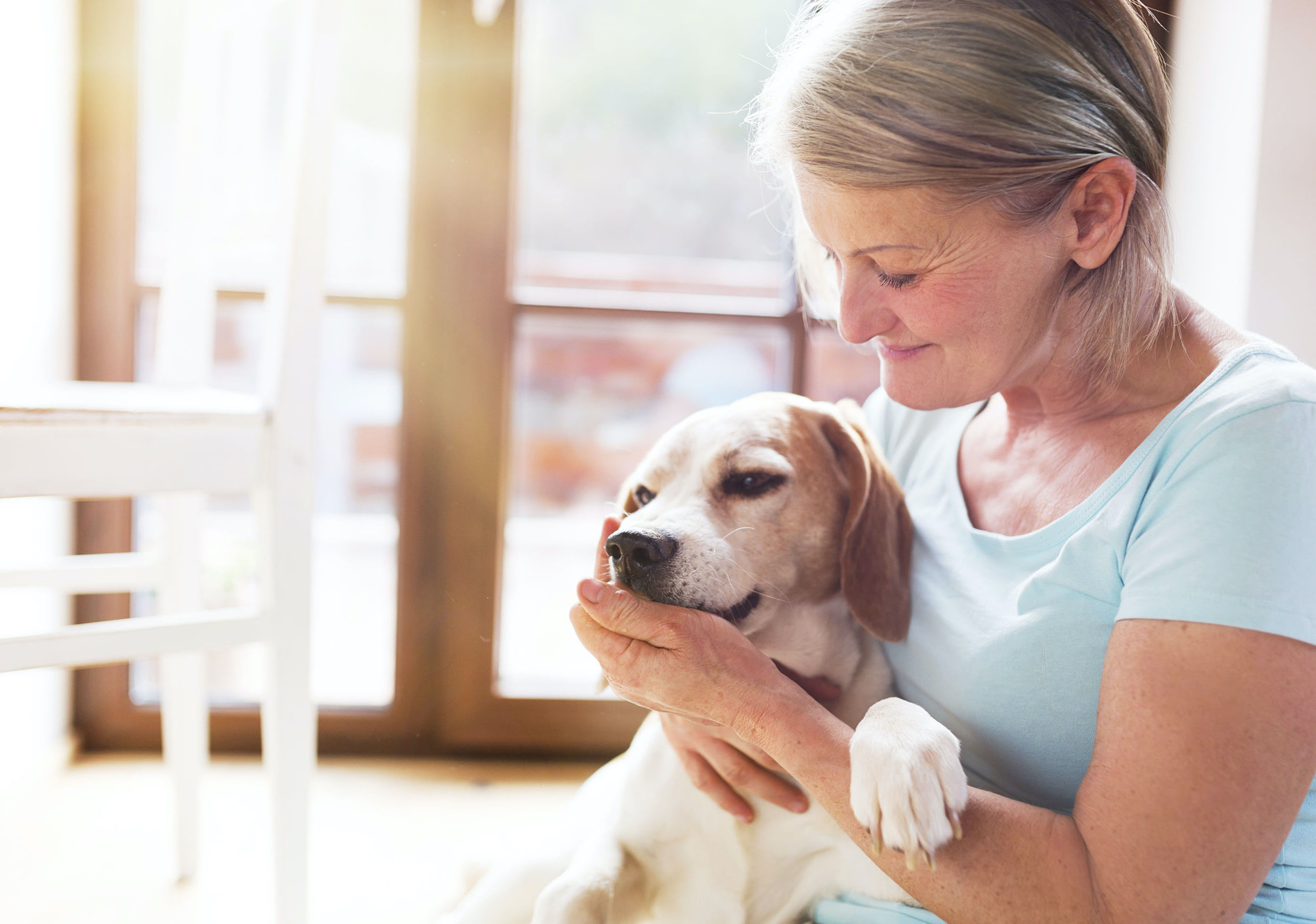 How Your Pet Can Benefit From An Animal Vet Hospital?